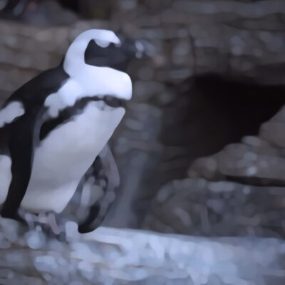 新潟の女性と水族館デート