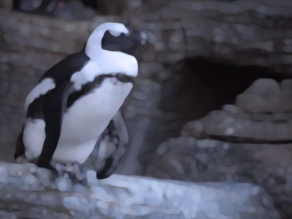 新潟の女性と水族館デート